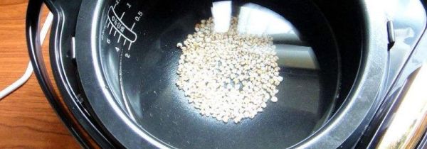 新电饭煲怎么用第一次怎么用