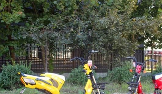 如何预防电动车起火爆炸？