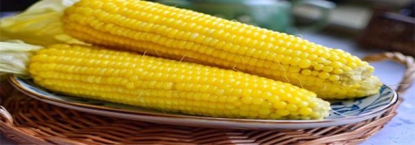 隔夜的玉米能吃吗