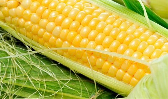 隔夜的玉米能吃吗