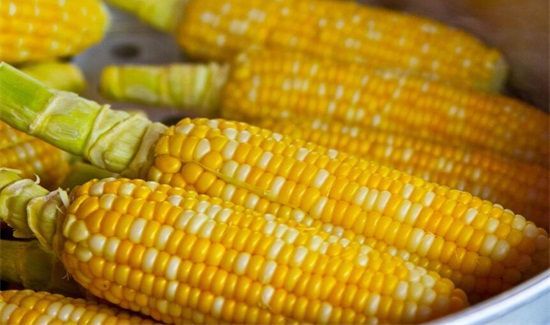 隔夜的玉米能吃吗