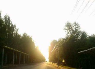 芝士有哪些种类？哪种比较健康？