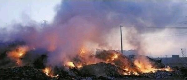 垃圾焚烧对周围环境和人体有多大危害？