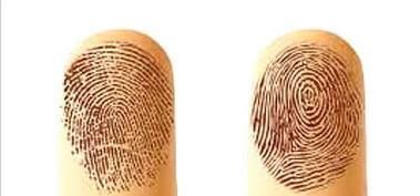 手指上的斗和簸箕决定一个人的健康？