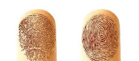 手指上的斗和簸箕决定一个人的健康？