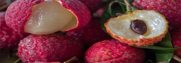 荔枝可以用水泡着吗