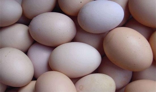 隔夜的煮鸡蛋能吃吗