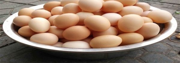 隔夜的煮鸡蛋能吃吗