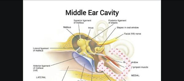 长期用耳塞听歌会导致听力下降吗？