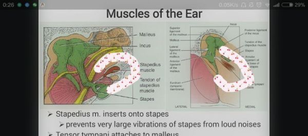 长期用耳塞听歌会导致听力下降吗？