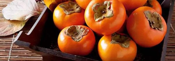 柿子可以放冰箱保存吗