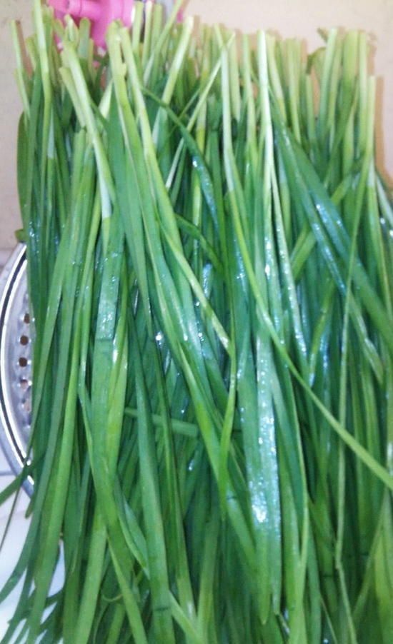 为什么说春吃韭菜？