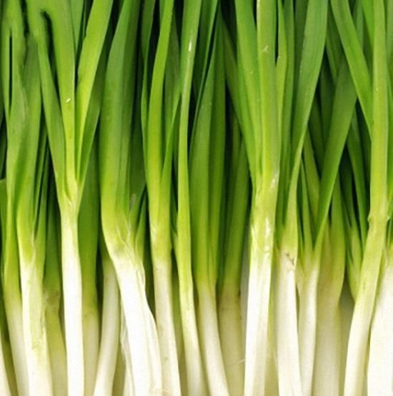 为什么说春吃韭菜？