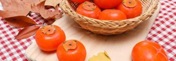 柿子不能和什么食物一起吃