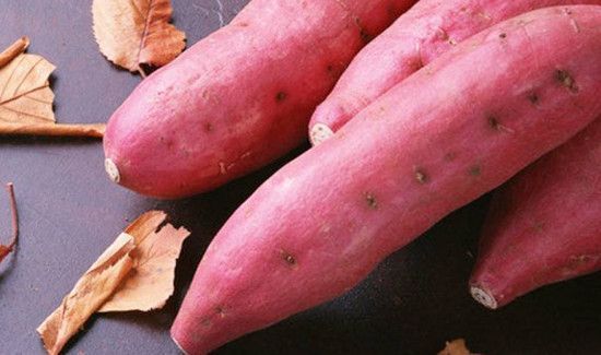 柿子不能和什么食物一起吃