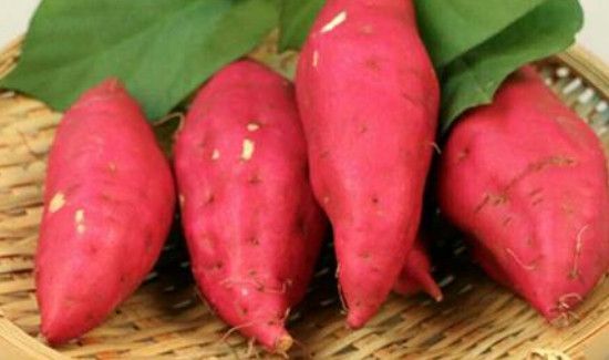 柿子不能和什么食物一起吃