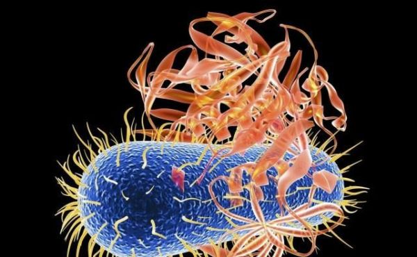 健康预警！哪些食物绝对不能隔夜吃？