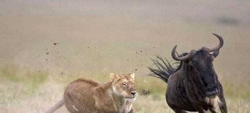 滥用抗生素为什么会引起细菌耐药？