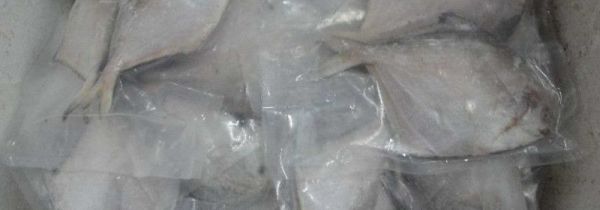 速冻食物如何快速化冰