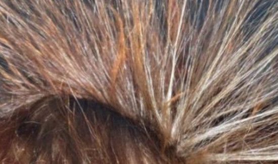 冬天怎么防止头发起静电