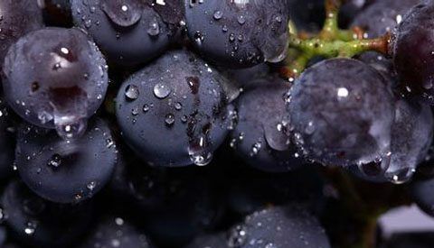 有人说“洗葡萄洗不净可能吃下寄生虫”，怎么洗葡萄才能洗干净？