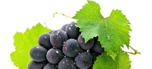 有人说“洗葡萄洗不净可能吃下寄生虫”，怎么洗葡萄才能洗干净？