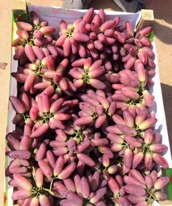 有人说“洗葡萄洗不净可能吃下寄生虫”，怎么洗葡萄才能洗干净？