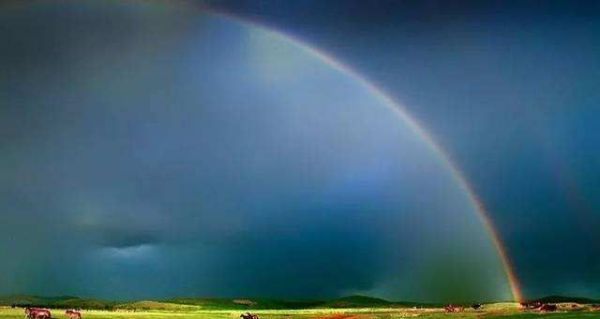 怎么看待脸上痣很多的人呢？