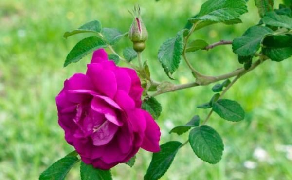 “男到中年，不睡三觉，不去三地，不喝三酒”是指什么？