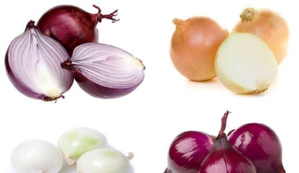 请问洋葱是黄色的好还是紫色的好?