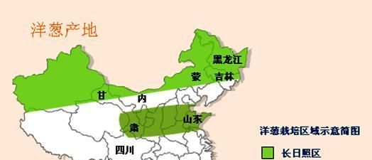 请问洋葱是黄色的好还是紫色的好?