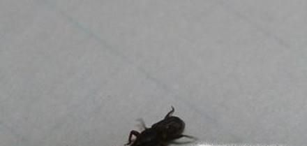 如何判断酒店的卫生是否达标？该注意哪些问题