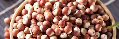 经常喝白开水，到底是对肾好还是损伤肾？