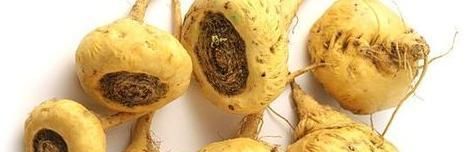 经常喝白开水，到底是对肾好还是损伤肾？