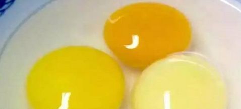 土鸡蛋真的比养殖场产的鸡蛋好吗?