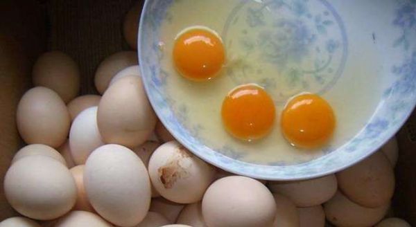 土鸡蛋真的比养殖场产的鸡蛋好吗?