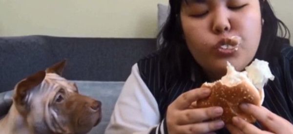 憋住不放的屁，最后都去哪了？