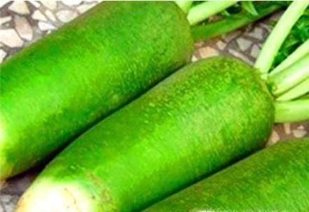 大萝卜怎么储藏