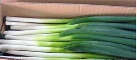 大葱如何存放