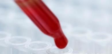 亲子鉴定怎么做