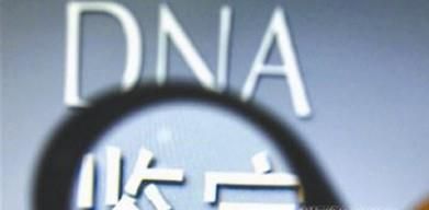 亲子鉴定怎么做