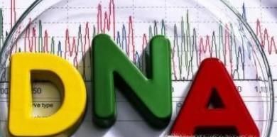 亲子鉴定怎么做