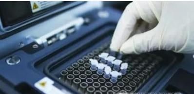 亲子鉴定怎么做