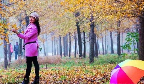 如何拍银杏树下的人物