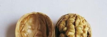 如何将核桃快速剥开