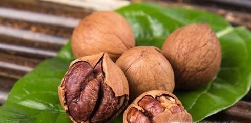 如何将核桃快速剥开