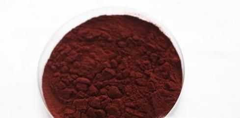 虾青素是什么？什么是虾青素？