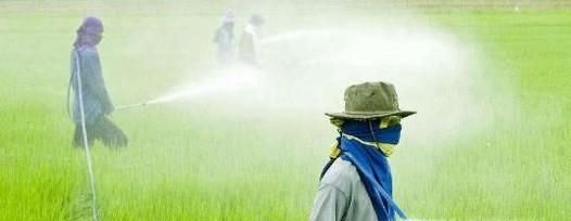 什么原因导致空气污染？