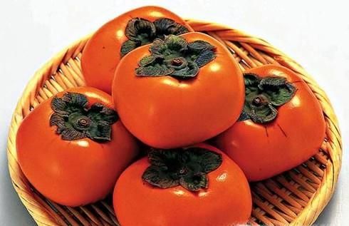 什么样的人不能吃柿子