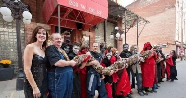 中国最大的蛇有多大?世界上最大的蛇有55米,是真的吗?